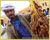 The Mozabite inhabitants of Ghardaia and the rest of the M'Zab Valley are a berber people for whom dates are a key economic resource